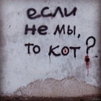 В Японии кошка спасла жизнь человеку и на один день стала начальником полиции