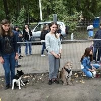 если это кагуар, то чёт мелкий.
котёнок?
