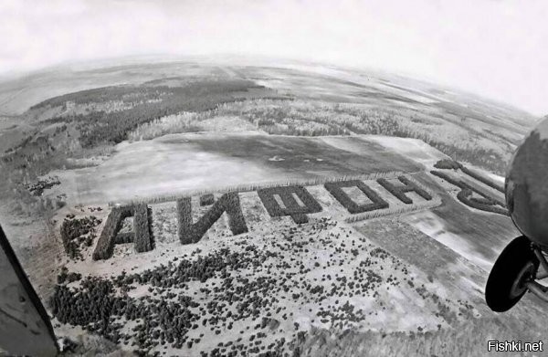 Как в СССР создавали леса в форме слов