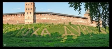 Как в СССР создавали леса в форме слов