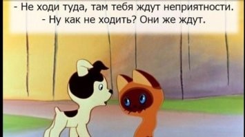 Веселые истории о нас  