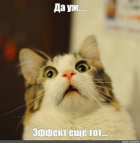 Эффективное появление рыжего кота!