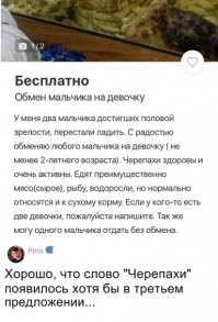 Из социальных сетей