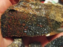 > "Кость динозавра в разрезе"
-
Разрез "мозга" дебила, который так считает и перепостщивает. 
Это было когда-то костью, но за млионы лет это превратилось в окаменелость, в которой минералы наполнили структуру бывшей кости!