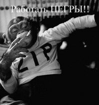 Скрины из соцсетей