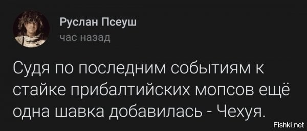 а они оттуда и не выходили....просто какое-то время делался вид, что они не такие, да и проепалтов, какое-то время пытались считать за нормальных, не припоминая прошлого...чехи такие же