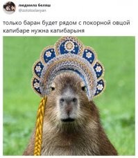 Скрины из соцсетей
