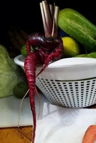 Этот овощ похож на чувака, который сейчас отберёт у тебя нож и порежет тебя самого в салатик.