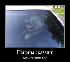 Фруктовый банкет для поросенка