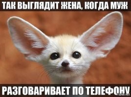 Веселые  картинки