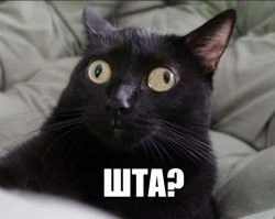 Задержанный ДПС пьяный пенсионер спалил свою машину и чуть не сгорел сам: видео