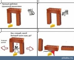 Смешные комментарии из соц.сетей