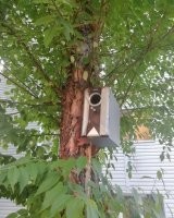 сис блок? это вообще то сабвуфер