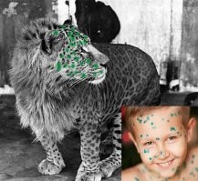 Киска не болей