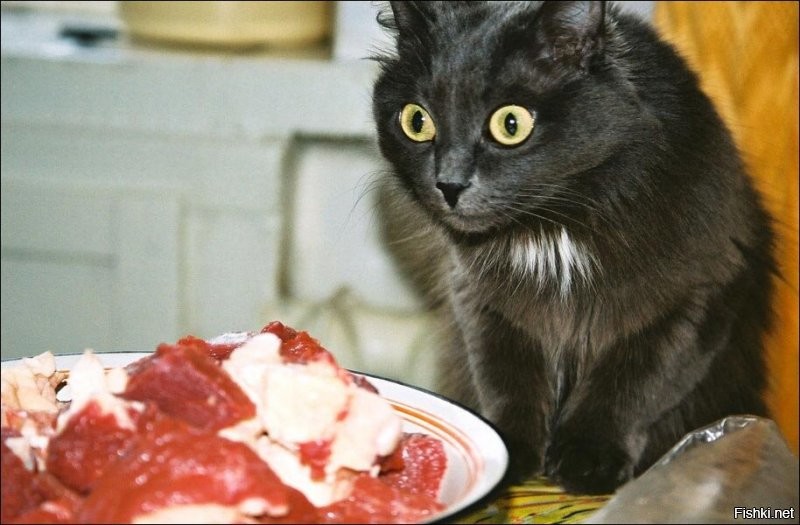 короче - всем мяса!!!