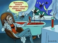 В США выпустят на волю генетически модифицированных комаров от Билла Гейтса