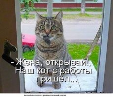 Котик - добытчик !