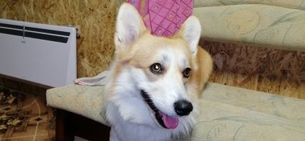 Ну давай дальше рассказывай какая я хорошая