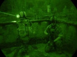 ещё как вариант - лазерный целеуказатель. В ПНВ он отлично виден