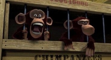 Хитрые обезъяны украли у девушки смартфон