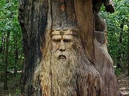 Ваши глаза вас точно не обманывают, а вот с реальностью что-то не так