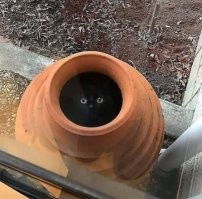 Если долго смотреть в бездну, то бездна тоже посмотрит на тебя .