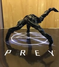 40 картинок для поднятия настроения