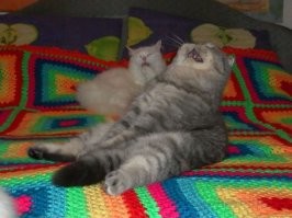 Приключение дедушки в России