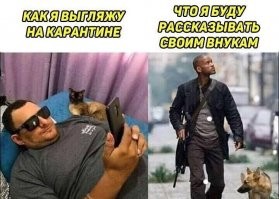 Веселые  картинки