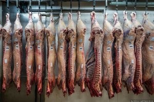 Как на самом деле растут мои любимые котлеты например.