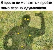 Веселые  картинки