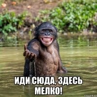 20+ фото, показывающих, как же удивительна мать-природа