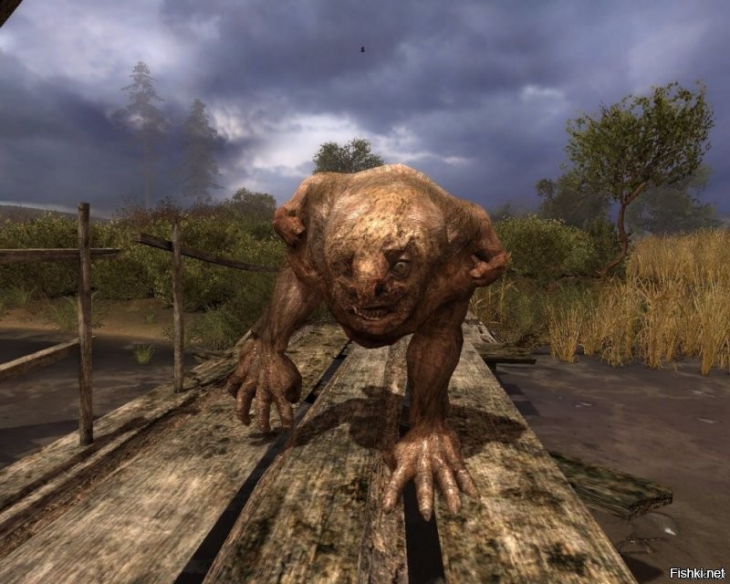 Тот, который справа, это же его котэ?