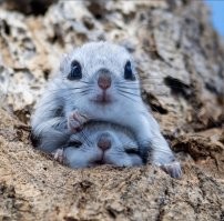 вот, сынок, смотри! никогда не пей водку, или будешь, как твой папа!