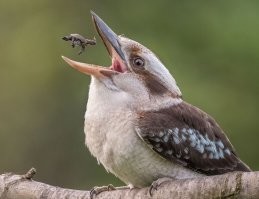 да лан, ма, отстань