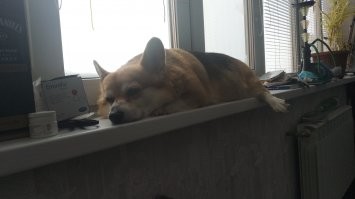 Своё чудо добавлю)