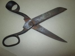 «Мамы сами уговаривали их раздеться»