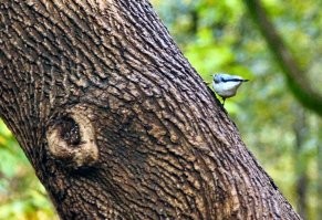 Сентябрь 2013. Нескучный сад. Кликабельно.