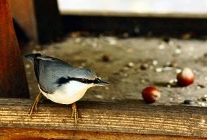 Сентябрь 2013. Нескучный сад. Кликабельно.
