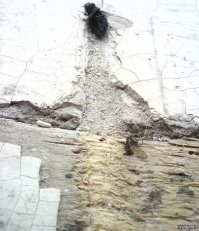 Смешные комментарии из соц.сетей