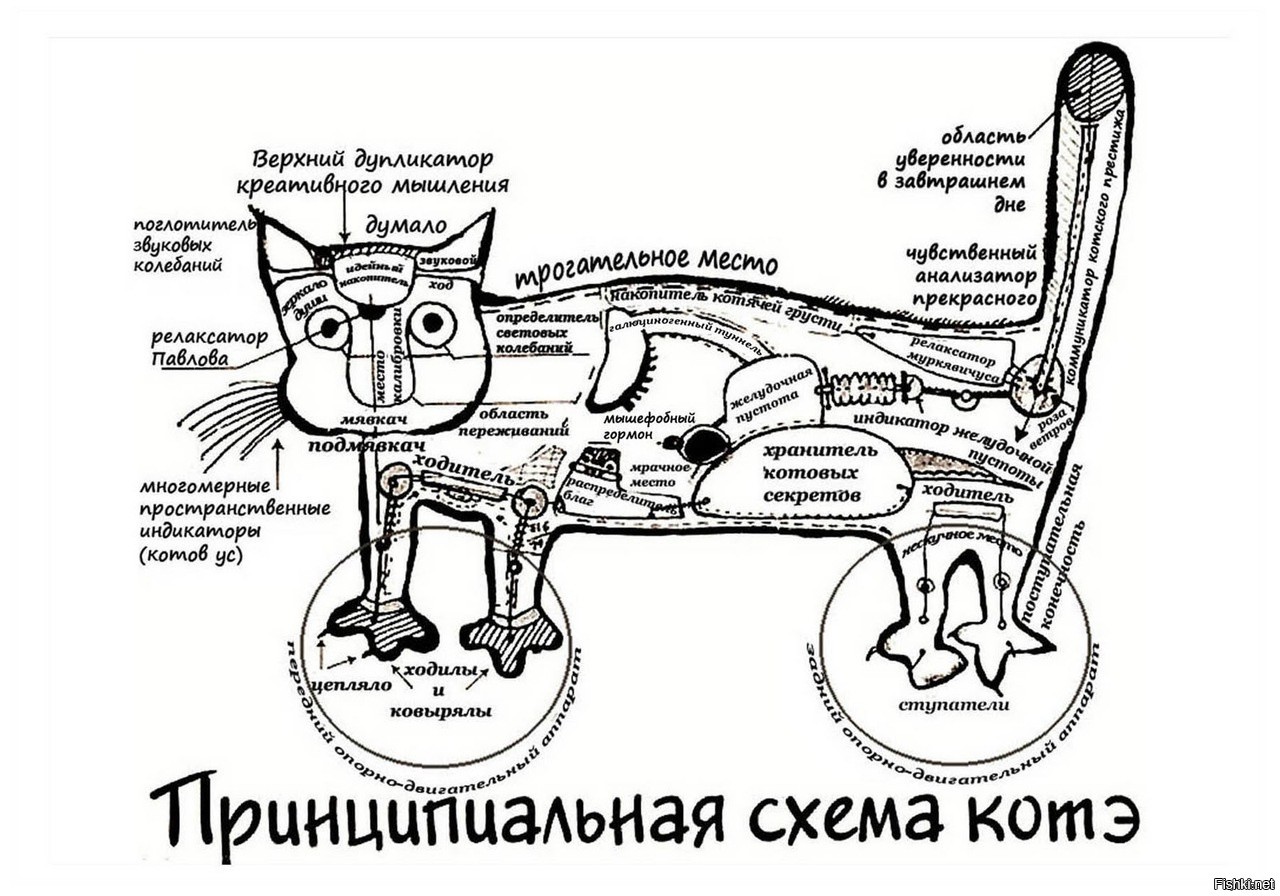 Сложная схема мем