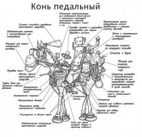 23 схемы, чертежа и анатомические карты тех, кого мы никогда не увидим