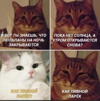 Веселые истории о нас. Животные