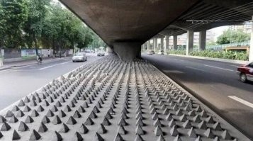 В Финляндии почти не осталось бездомных