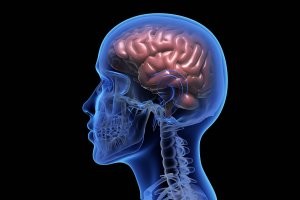 "30 необычных штук, которые вам просто необходимы"
===========
А вот самой главной штуки, необычной (по нашему времени), которая всем просто необходима, и нету.
Добавлю. Её бы под номером 1.