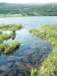 Исток и устье реки Лена!