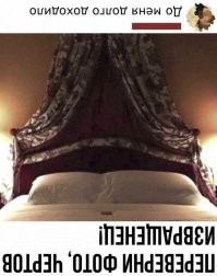 Смешные комментарии из соц.сетей