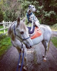 Ксения Собчак и Алексей Панин в парке.