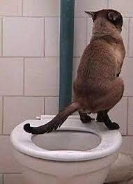 Феминистки в шоке: Билли Айлиш снялась в корсете, чулках и удивила соцсети