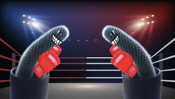 Котик,колючий хер...Это кактус-боксёр !